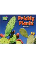 Prickly Plants