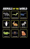 Animals Of The World