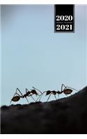 Ant Insect Myrmecology Week Planner Weekly Organizer Calendar 2020 / 2021 - Lovely Couple