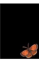 Butterfly Journal