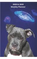2020 & 2021 Two-Year Weekly Planner For Pitbull Owner Gift - Funny Quote Appointment Book - Two Year Daily Agenda Notebook With Staffordshire Terrier Dog: Surreal Art Goal Planning Logbook - Month Calendar: 2 Years of Monthly Plans - Personal Day Log