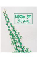 Dream Big, Act Small
