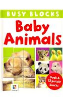 Baby Animals