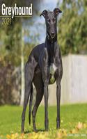 Greyhound 2021 Wall Calendar