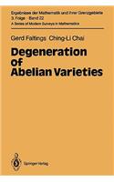 Degeneration of Abelian Varieties