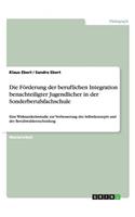 Förderung der beruflichen Integration benachteiligter Jugendlicher in der Sonderberufsfachschule