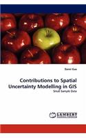 Contributions to Spatial Uncertainty Modelling in GIS