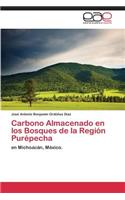 Carbono Almacenado En Los Bosques de La Region Purepecha