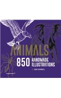 Animals: 850 Handmade Illustrations