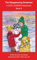 The Disappearing Snowman