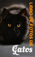 Libro de fotos de gatos