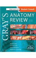 Gray's Anatomy Review