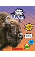 Bison (Wild Life Lol!)