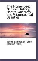 The Honey-Bee; Natural History, Habits, Anatomy and Microscopical Beauties