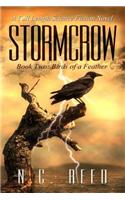 Stormcrow