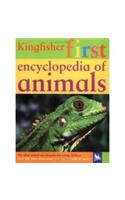 Kingfisher First Encyclopedia Of Animal