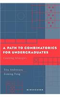 A Path to Combinatorics for Undergraduates: Counting Strategies