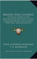 Mosses And Lichens