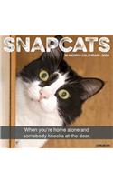 Snapcats 2020 Wall Calendar