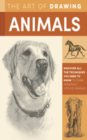 The Art of Drawing Animals