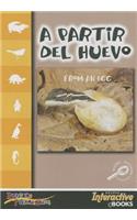 A Partir del Huevo/From an Egg