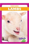 Piglets: (Farm Babies)