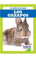 Los Gazapos (Rabbit Kits)