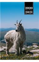 Goat Farmer Farming Herder Goatherd Week Planner Weekly Organizer Calendar 2020 / 2021 - Flower Meadow