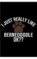 I Just Really Like Bernedoodle Ok?