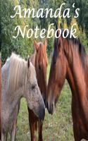 Amanda's Notebook