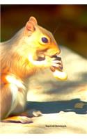 Squirrel Notebook