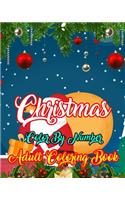 Christmas Color By Number Adult Coloring Book