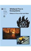 Wildland Fire in Ecosystems