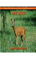 Roe Deer: Amazing Pictures & Fun Facts on Animals in Nature