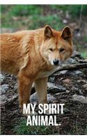My Spirit Animal