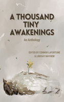 Thousand Tiny Awakenings