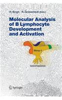 Molecular Analysis of B Lymphocyte Development and Activation
