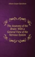 Anatomy of the Brain: With a General View of the Nervous System.