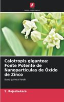Calotropis gigantea