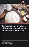 Costruzione di un gene di lievito e clonazione di una cassetta knockout