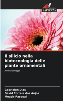 silicio nella biotecnologia delle piante ornamentali
