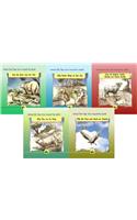 Animal Folk Tales from Around the World (Set of 5 Books)