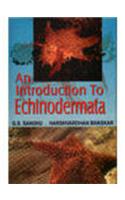 An Introduction to Echinodermata