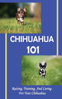 Chihuahua 101
