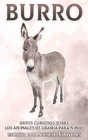 Burro