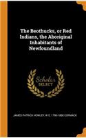 The Beothucks, or Red Indians, the Aboriginal Inhabitants of Newfoundland