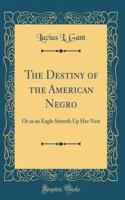The Destiny of the American Negro: Or as an Eagle Stirreth Up Her Nest (Classic Reprint)