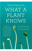 What a Plant Knows