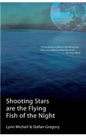 Shooting Stars Are The Flying Fish Of The Night