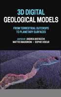 3D Digital Geological Models: From Terrestrial Outcrops to Planetary Surfaces